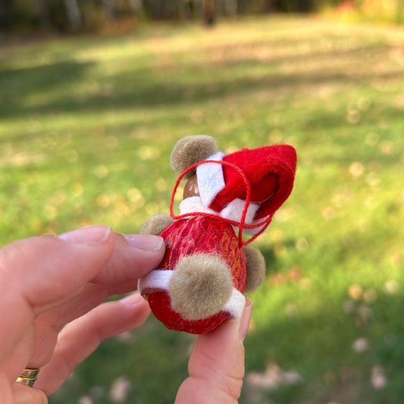 5/$25 Festive Santa Ornament with Red and White Accents 🐿️ - Picture 7 of 8